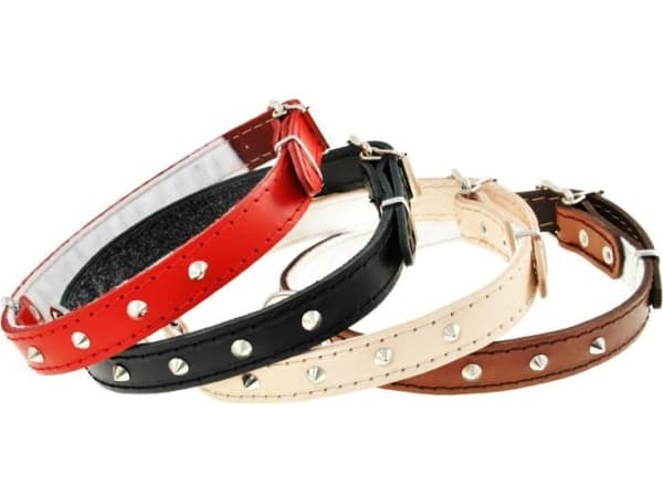 Dino Skinnkrage med Dino knaster 18mm/43cm rød