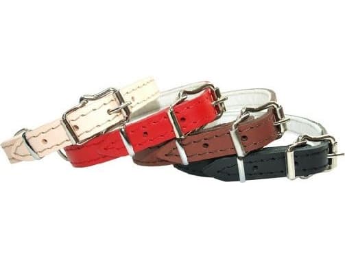 Dino läderhalsband 30mm/63cm röd