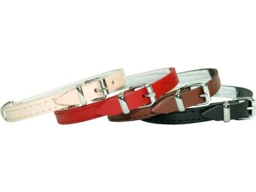 Dino läderhalsband 10mm/27cm Svart