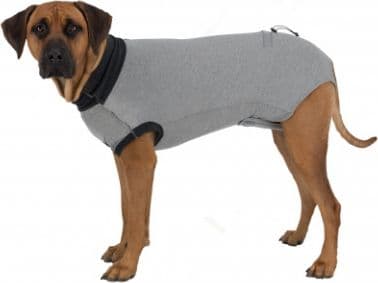 Trixie Beskyttelsesdragt, L-XL: 62 cm, grå