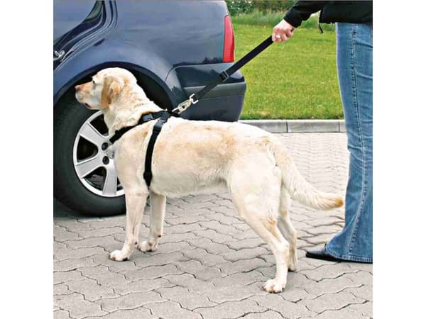 Trixie Sikkerhedssele M 50-70 cm