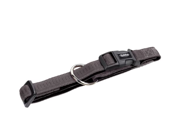 Nobby 78510-74, Hund, Vanligt halsband, Grå, Nylon, XS-S, 15 mm