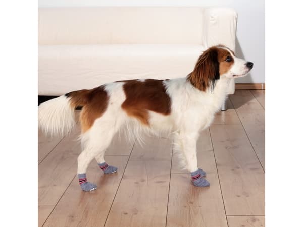 Trixie Hundesokker, grå L (2 stk.) non-slip