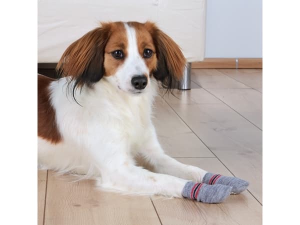 Trixie Hundesokker, grå L (2 stk.) non-slip