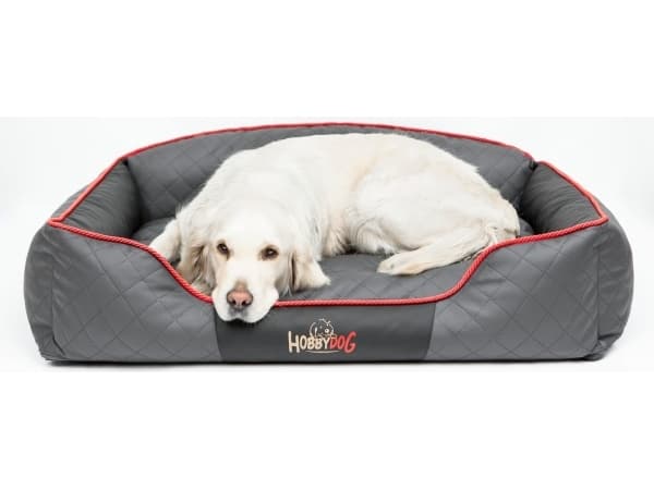 Hobbydog Leggingit Elite - Grafiitti - lajitellaan sivut XXL