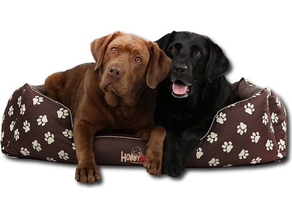 HOBBYDOG Legis Prestige - Potetrykk i bronse XXL 110x90x25cm