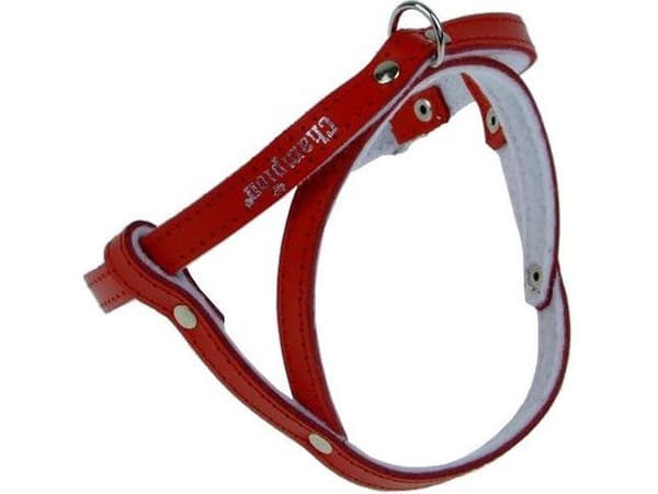 Champion Sele 50 rød SD(R)
