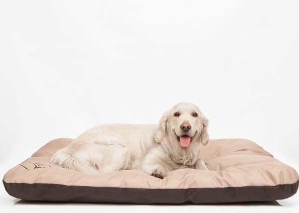 HOBBYDOG Mattress Eco - Burgundy R2