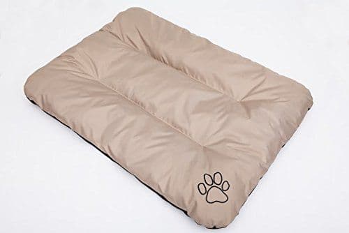 HOBBYDOG Mattress Eco - Beige R3