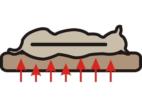 Hobbydog Medico Standard seng - Brun med en beige XXL madrass