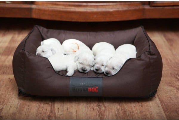 Hobbydog Comfort Lair - sort XXXL