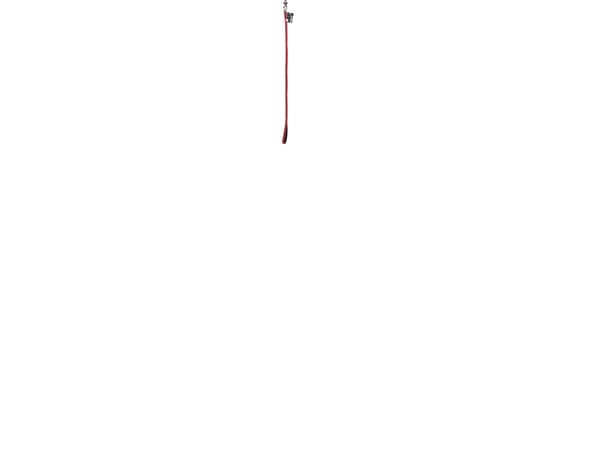 MOOV Lanyard 20 mm