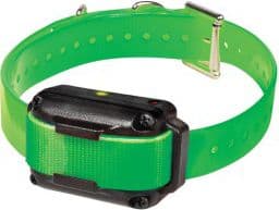 Zolux Educational Additional Collar (to 487044)
