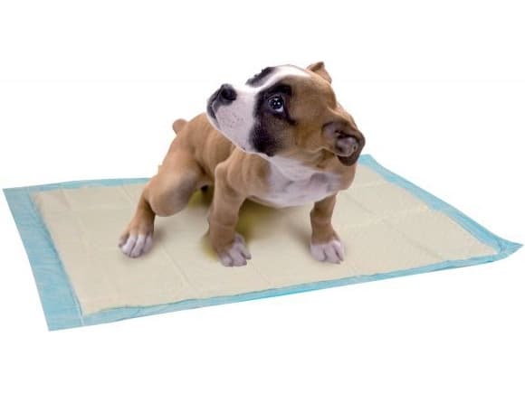Zolux Absorbing mats 45 x 60 cm - 10 pieces