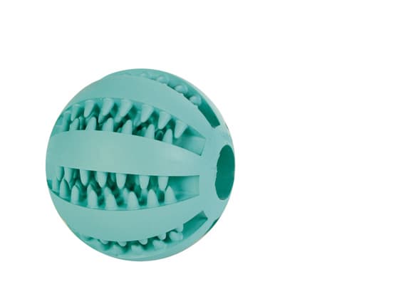 Trixie DENTAfun Baseball 6,5 cm mynte