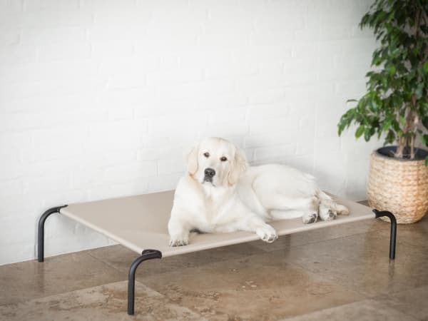 Hobbydog Lair Silitysrauta, Beige, r. XL