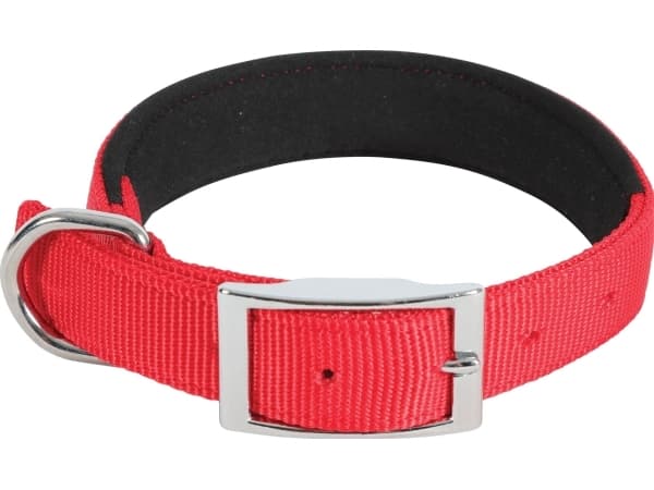 Zolux ZOLUX Nylon collar KOMFORT 60 cm/25 mm, red color