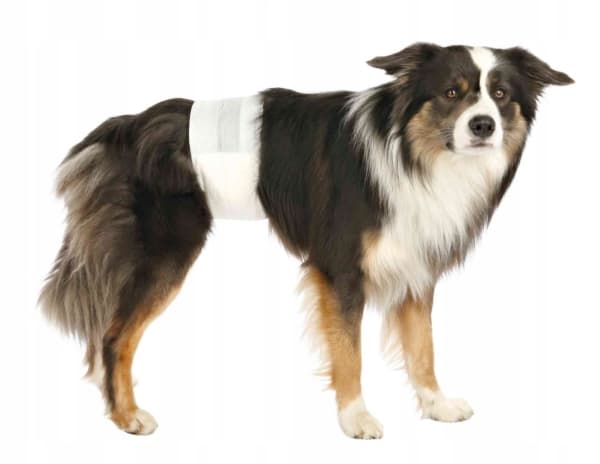 Trixie Bleer til hanhunde, S–M: 30–46 cm, 12 stk