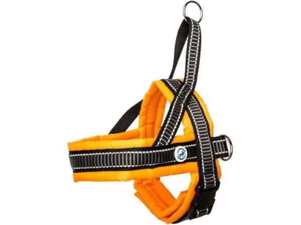 All For Dogs Norsk hundesele 70 oransje, størrelse 83-95cm