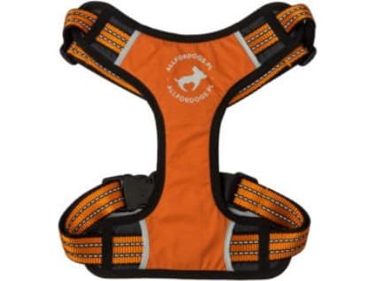 All For Dogs Szelki sportowe pomarańczowe r. S (45-80cm)