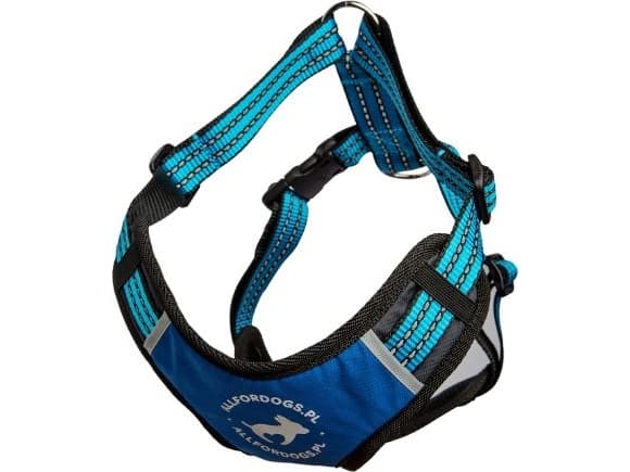 All For Dogs Sportsele blå r. M 60-100cm