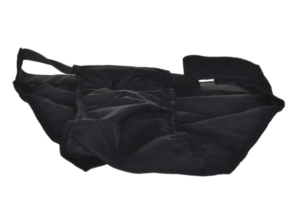 CHABA PANTIES FOR DOG 2