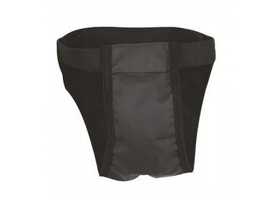 CHABA PANTIES FOR DOG 2