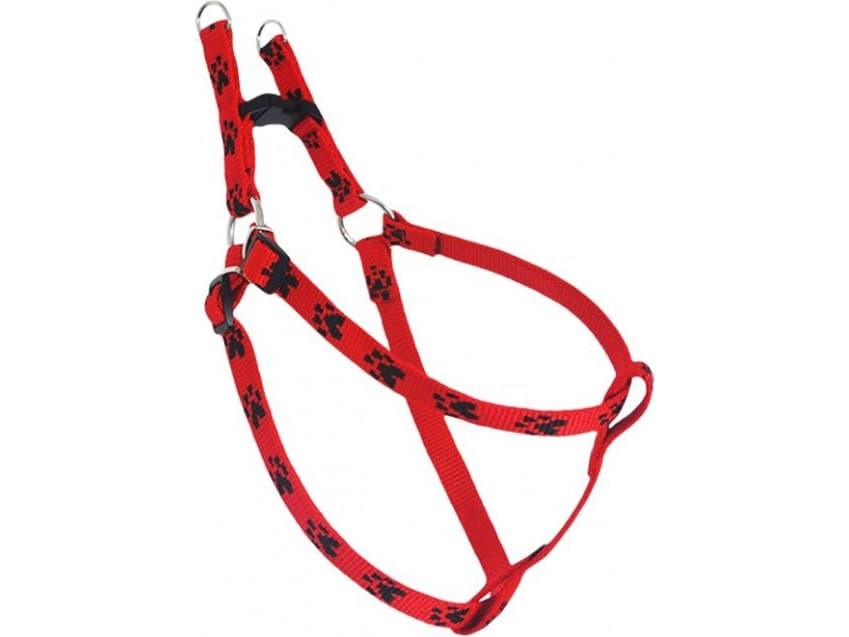 CHABA Adjustable braces Feet - Red-black 2