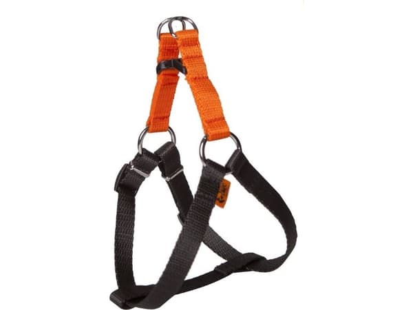 Dingo sele fred "energy" storlek 40 bredd 1,2 cm, polypropylen väv orange+svart - 94607