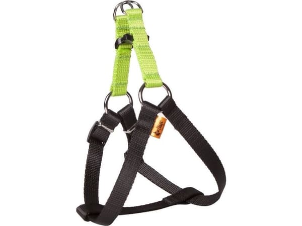 Dingo Fred Energy størrelse 50 bredde 1,6 cm Grønn (94611)