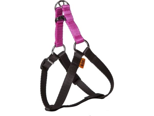 Dingo Fred Energy størrelse 60 bredde 1,6 cm Rosa (94613)