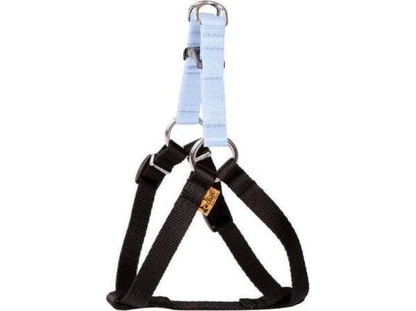 Dingo Fred Energy størrelse 40 bredde 1 cm Rosa (94625)