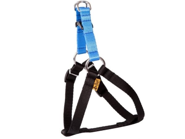 Dingo Fred Energy storlek 40 bredd 1 cm Blå (94627)