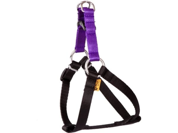 Dingo Fred Energy størrelse 40 bredde 1 cm Lilla (94629)