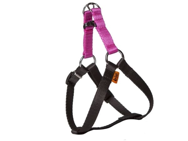 Dingo FRED hundesele laget av ENERGY-tape, rosa, størrelse 50