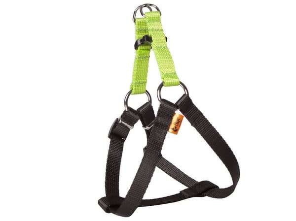 Dingo FRED-sele för hundar med ENERGY-band grön r. 50 | CDON