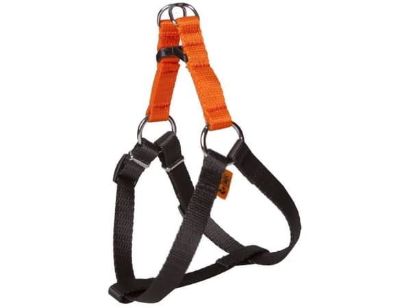 Dingo FRED hundesele laget av ENERGY-tape, oransje, størrelse 85
