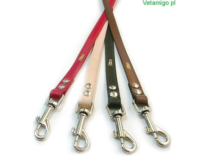 Dino Leather Leash Dino 25mm/120cm Red - 5906040058078