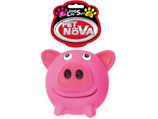 PET NOVA VIN Pig Ball 10cm