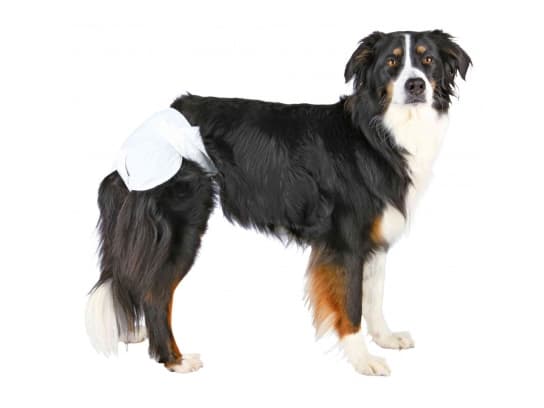 Trixie Hundeble, M–L, 12 stk