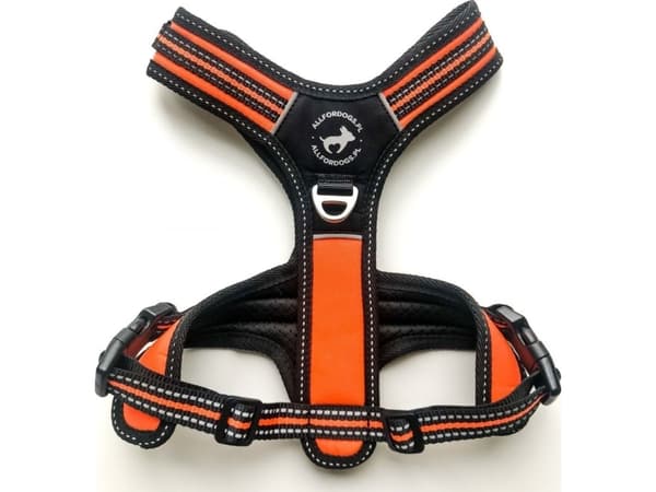 All For Dogs ALL FOR DOGS SZELKI 3x-SPORT POMARAŃCZ S