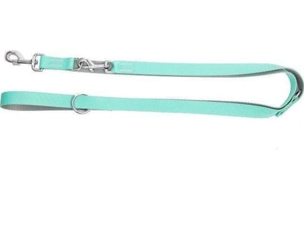 Dingo DINGO LEASH ENERGY REG 2.0/220cm MINT