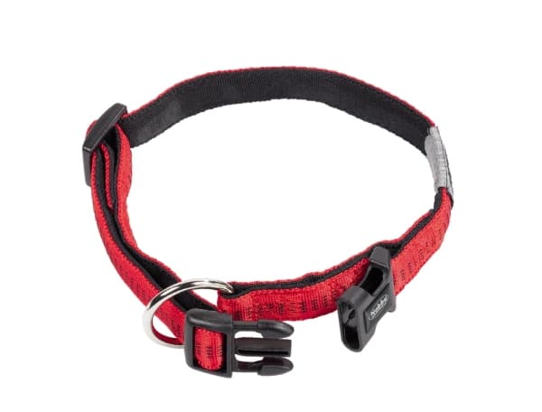 Nobby 78513-01, Hund, Standard krage, Rød, Nylon, L-XL, 25 mm