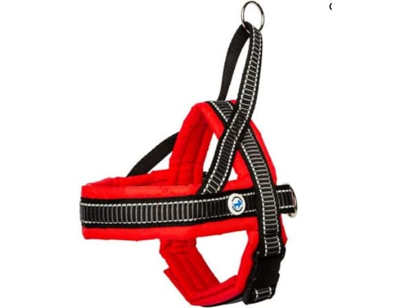All For Dogs Norsk hundesele 70 rød, størrelse 83-95cm