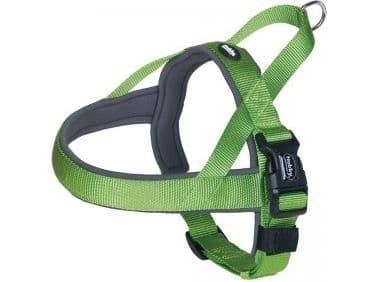Nobby BRACES CLASSIC PRENO L GREEN 60-76cm 25/35