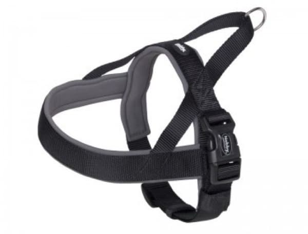 Nobby Classic Preno, Hund, Haltersele, M-L, Svart, Nylon, Monokromatiskt