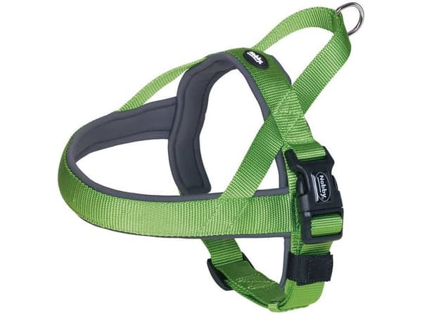Nobby Classic preno grön hundsele r. S-M (38-50cm)