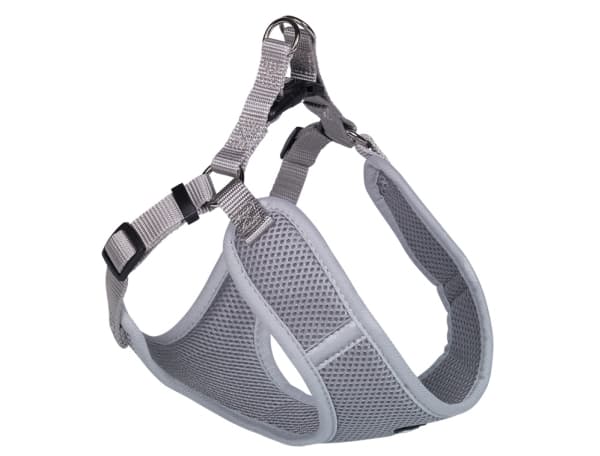 Nobby 80623-81, Hund, Haltersele, XXS, Grå, Monokromatiskt, 28 cm