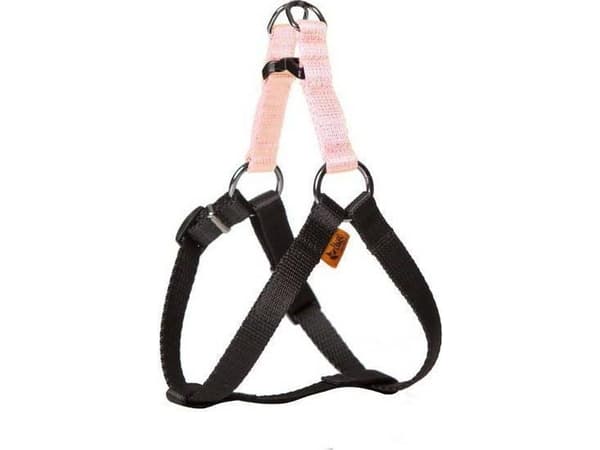 Dingo harness fred "energy" size 40 pieces 1.2 cm, made of polypropylene tape - 94626