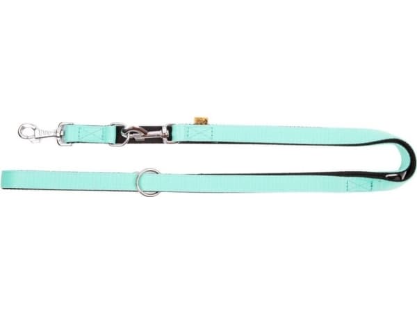 Dingo Energy hundebånd, mint, 2,2 m